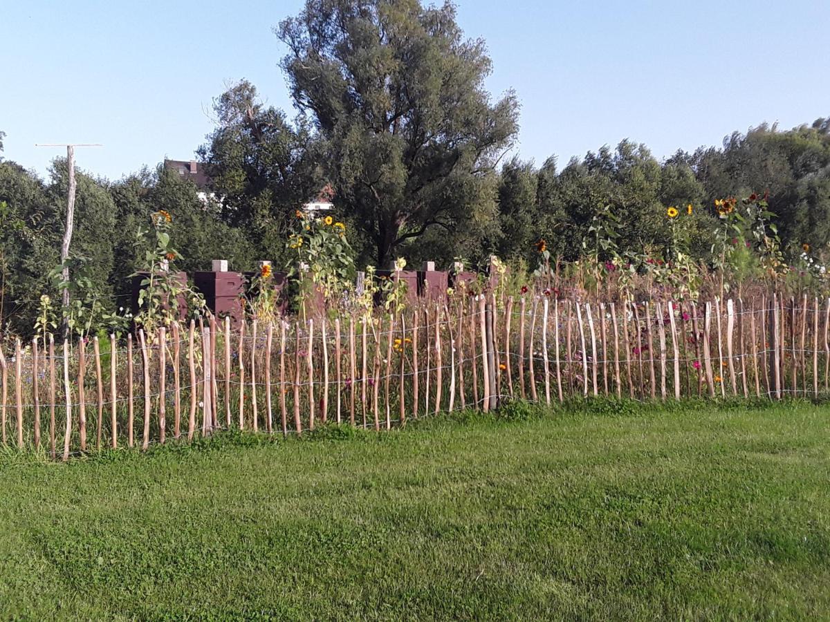 Apartament Kuhlmanns Hof Vlotho Zewnętrze zdjęcie